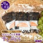ぶどうの産地勝沼で大 みはらしの千果園の干しぶどう3袋