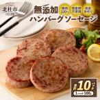 無添加ハンバーグソーセージ 100g×10パック入り