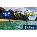 山田の海を楽しむサップ体験3~4名様
