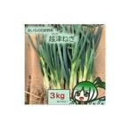fu.... налог . Цу лук порей примерно 3kg | овощи местного производства белый лук-батун длина лук-батун лук порей ... мягкий лук-батун бесплатная доставка префектура Аичи префектура Аичи производство No.138 префектура Аичи . юг город 