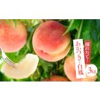 ふるさと納税 南信州産 桃 約3kg〈 あかつき ・ 白鳳 〉 【2026年7月より順次発送】 | 果物 くだもの フルーツ 柿 桃 もも あかつき 白鳳 長野県.. 長野県飯田市