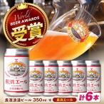 クラフトビール 長浜エール6本セット