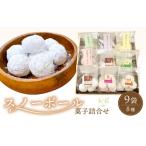 ふるさと納税 洋菓子クッキー  スノーボール 9袋  スイーツ ｜ ギフト お中元 お歳暮 敬老の日 父の日 母の日  お菓子 焼き菓子  詰合せ  [e44-a.. 福井県越前町