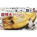 \配送時期指定可 かもめ島特産 とった漁師が自らつくる