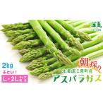 \2027年春アスパラ 申込受付中 アスパラガス 2kg