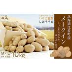 江差産 メークイン 10kg