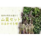 fu.... налог [2026 год отправка ] Yamagata. дикоросы случайный 5 вида комплект (700g и больше )_H047(R8) Yamagata префектура длина . город 