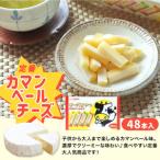 チーズ おやつ カマンベール 48本入り