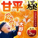 ショッピング甘平 ふるさと納税 【甘みぎっっしり!】シャキシャキ甘い♪♪【甘平】5kg【H49-78】【1621089】 愛媛県八幡浜市