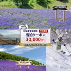 宿泊クーポン HIS 旅行