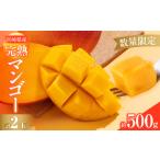 ふるさと納税 数量限定 宮崎県産 完熟マンゴー 2玉 約500g 期間限定 フルーツ スイーツ 果物 くだもの 食品 グルメ デザート 国産 産地直送 人気.. 宮崎県日南市