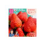ふるさと納税 【先行予約受付中】【年内お届け!!】静岡県産いちご 紅ほっぺ 280g×2パック(1パック12〜15粒) 冷蔵配送【配送不可:北海.. 静岡県静岡市