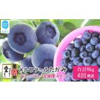 ブルーベリー三昧 Aセット 約8kg