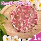 オーガニック Raw チーズ ケーキ 直径12cm