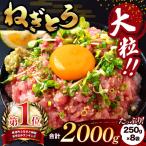 清幸丸水産 大 ねぎとろ 2000g