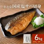 小さな 塩サバ 6kg