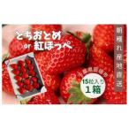 産いちご 15粒入り×1箱