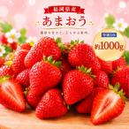 いちご DX等級 あまおう 1kg以上
