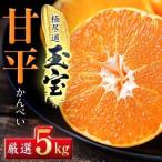 ショッピング甘平 ふるさと納税 「玉宝ブランド」【甘平】5kg【H64-61】【1621001】 愛媛県八幡浜市