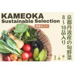 丹波産の旬野菜セット 有機 野菜