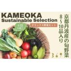 丹波産の旬野菜セットDX 有機 野菜