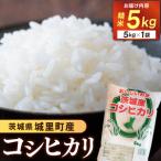 ふるさと納税 コシヒカリ 5kg お米 令和7年産 精米 ★関東地方限定配送★ AX012 茨城県城里町