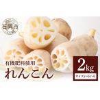 fu.... налог renkon 2kg ( размер различный ) лотос корень лотос местного производства овощи . корнеплоды кулинария прямая поставка от производителя производство прямой бесплатная доставка .. Lucky ... одобрено получение (A23-001) Ibaraki префектура камень холм город 