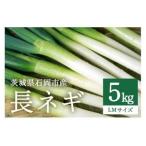 長ネギ L Mサイズ 5kg