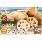 fu.... налог . для бытового использования немного меньше renkon 1 коробка ( примерно 4kg ) новый .... большой земля. ..... овощи сезон ограничение (B01-014) Ibaraki префектура камень холм город 