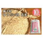 獅子米 いのちの壱 玄米 10kg