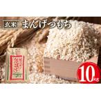ふるさと納税 まんげつもち 玄米 10kg 岡田ファーム もち米 マンゲツモチ お米 もち 米 モチ 10キロ 国産 餅 こめ コメ 茨城県産 茨城 産直 産地.. 茨城県石岡市