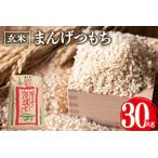 まんげつもち 玄米 30kg