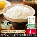 令和7年産 無農薬 白米 4kg