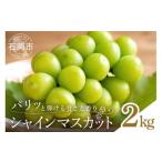 シャインマスカットとピオーネ 種なし 2kg