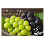 ナガノパープル シャインマスカット 詰め合わせ 2kg