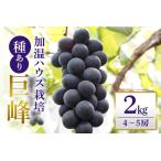 加温ハウス栽培 巨峰 2kg