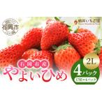 やよいひめ 2L
