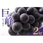 ふるさと納税 【 2026年 先行予約 】 巨峰 2kg ( 種あり ) 石田ぶどう園 5房 〜 9房 ぶどう ブドウ 国産 果物 くだもの 葡萄 フルーツ 2キロ 9月.. 茨城県石岡市