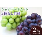 シャインマスカット と 巨峰 種あり 2kg
