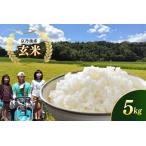 ふるさと納税 京都 丹後産コシヒカリ(玄米5kg)農家直送 こしひかり 京都府京丹後市