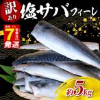 訳あり さば 塩鯖 約5kg