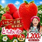 とちあいか 分 300g×2×2