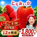 産とちあいか 分 300g×2