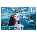 DMMかりゆし水族館 入場券 中人1名 13~17歳