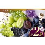 ふるさと納税 【先行予約：2026年発送】信州産 ナガノパープル、シャインマスカットのセット 約1kg (2房) 長野県松本市