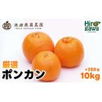 厳選 ポンカン 10kg+250g 痛み補償分