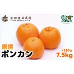 厳選 ポンカン 7.5kg+250g 痛み補償分