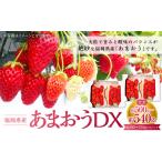 あまおうDX 約250-270g×2パック
