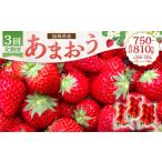 あまおう 3パック