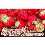 福岡産 あまおう6パック いちご 苺 イチゴ